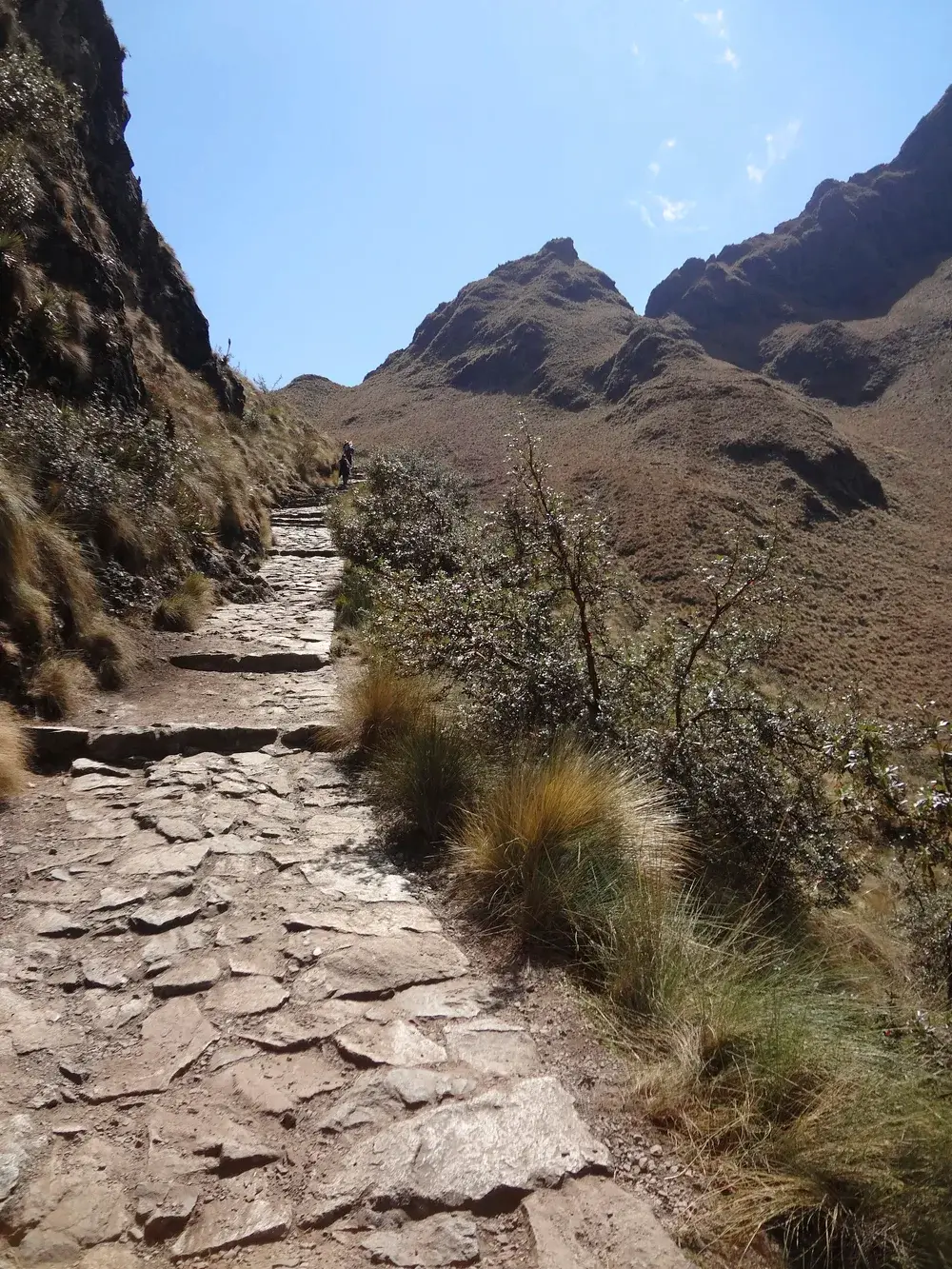 addiction medicine support